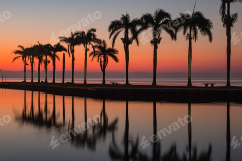 Preview: Sunrise on the bay with a long row of palm trees and beautiful reflections