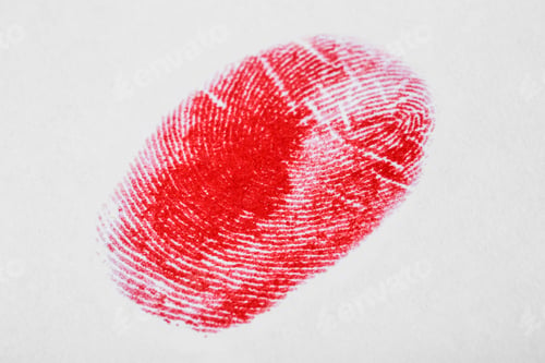 Preview: Red fingerprint on white background. Friction ridge pattern