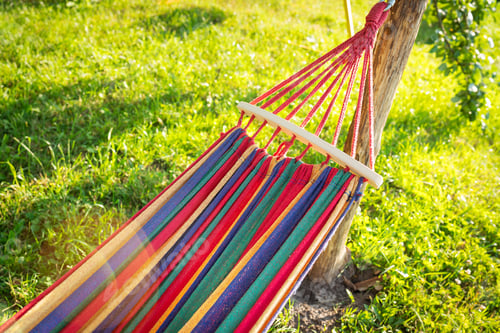 Preview: A bright multi-colored hammock hangs on a tree, warm sunlight. Summer, vacation, vacation.