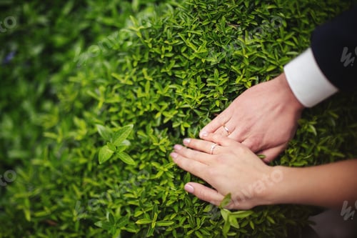 Preview: Couple placing hands on lush greenery during an intimate moment in a garden