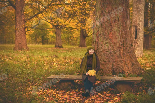 Preview: Women sits at bench in autumn forest Copenhagen Denmark