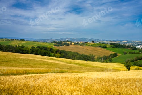 Preview: Rural landscape along the road from Fano to Mondavio, Marche