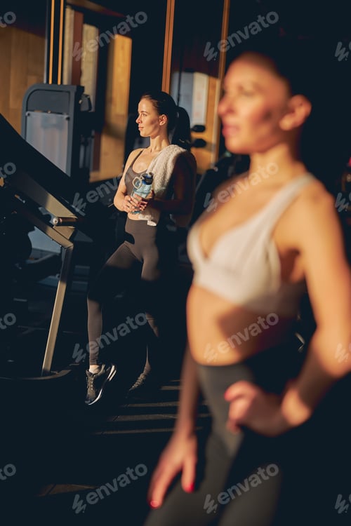 Preview: Two female friends are doing workout indoors