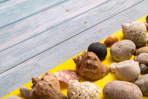 Preview: stones and shells on a blue wooden background and a yellow background.Marine theme