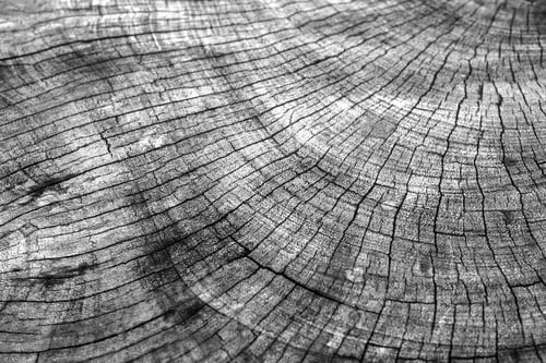 Preview: Old wood background