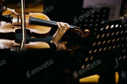 Preview: Woman fiddler during a concert, background in black.