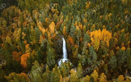 Preview: a long waterfall in the middle of a lush forest filled with trees