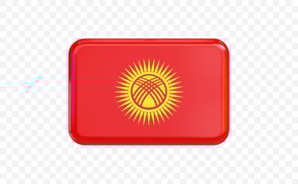 Preview: Kyrgyzstan Flag Banner