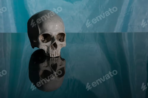 Preview: Human Skull with Reflection on Blue Background