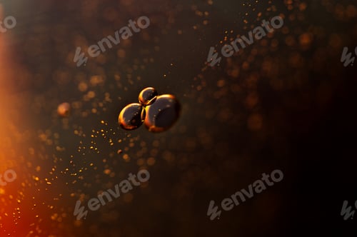 Preview: oil drops on water with colorful dark background