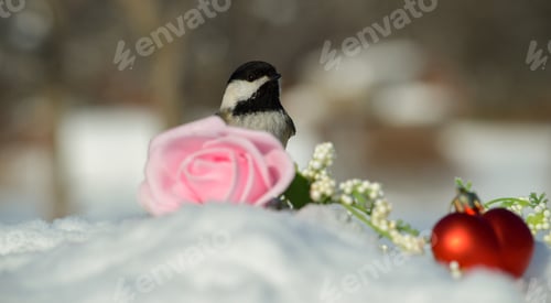 Preview: Valentine's Day