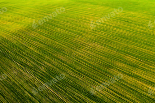 Preview: Bird's-eye view of a green field .Sowing campaign in Belarus.Nature Of Belarus.Own green field