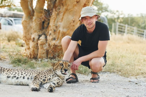 Vista previa: Male tourist in casual clothes and hat sitting and petting a cheetah outdoors