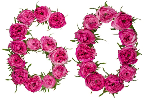 Preview: Arabic numeral 60, sixty, from red flowers of rose, isolated on white background