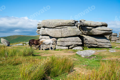 Preview: Combestone Tor in Devon