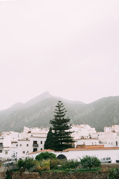 Preview: A misty skyline of a Spanish village with a prominent pine tree, against the soft backdrop of a
