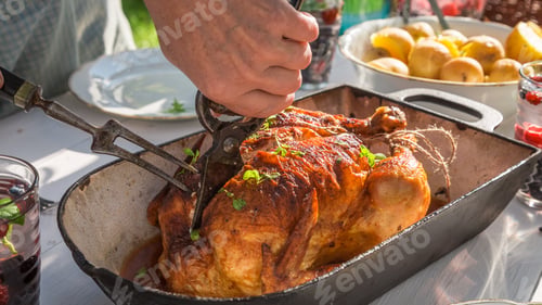 Preview: Cutting chicken for dinner in summer garden