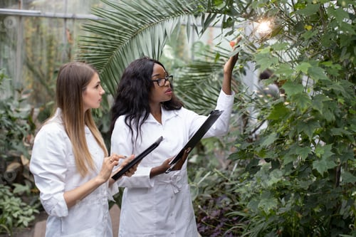 Preview: Two professional multiethnic women agronomists, African and Caucasian
