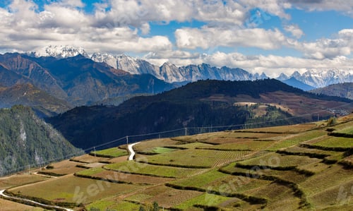 Preview: Green Rice fields on Terraced in china