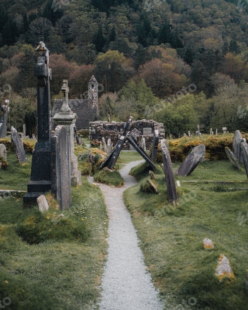 Preview: Old cemetery with a building in a dense forest in Dublin, Ireland