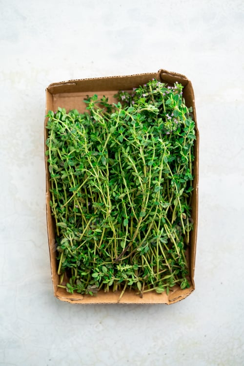 Preview: Fresh thyme in a container, from above. Top view, isolated over white.
