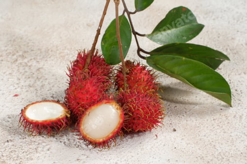 Preview: Fresh and ripe rambutan sweet tropical fruit on white background
