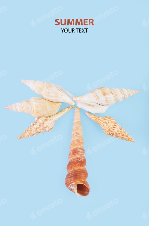 Preview: A Palm Of Seashells. Shells And Starfish On A Blue Background. Summer Background With Place For