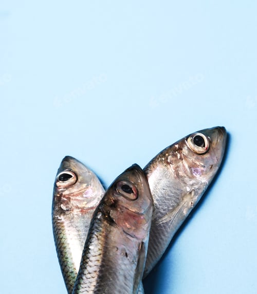 Preview: Delicious fish