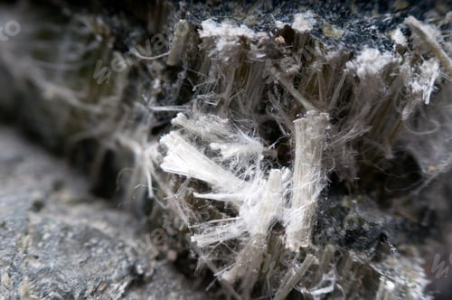 Preview: asbestos chrysotile fibers