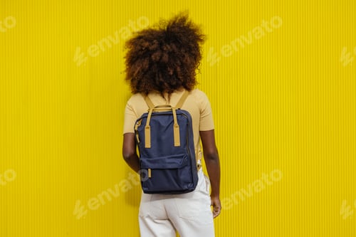 Preview: Back view black woman with afro hair
