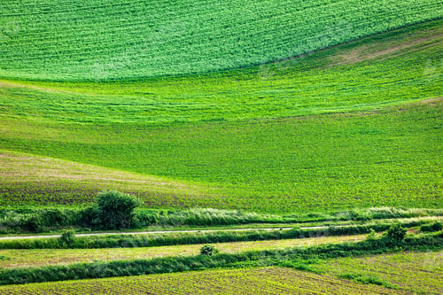 Preview: Abstract pattern of rolling fields