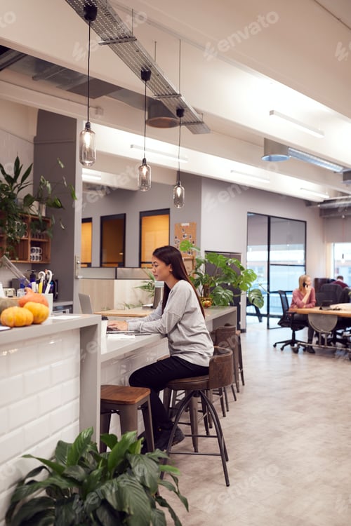 Preview: Businesswoman Working On Laptop In Kitchen Area Of Modern Office