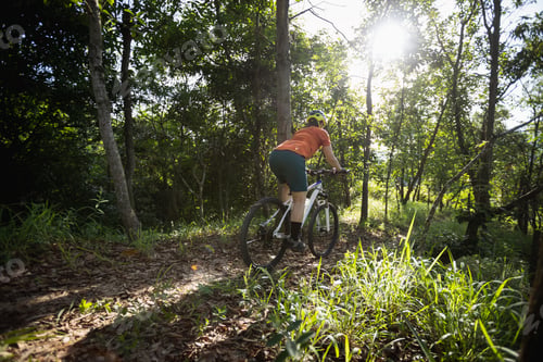 Preview: Mountain biking in summer forest