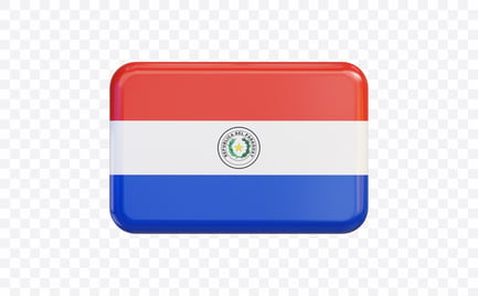Preview: Paraguay Flag Banner