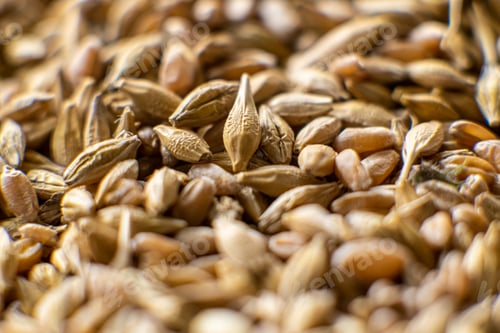 Preview: A mix of grains of different types Background close-up