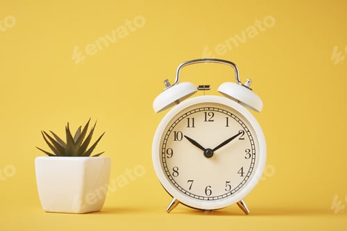 Preview: white retro alarm clock and house plant on the yellow background