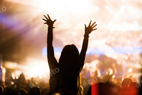 Preview: Picture of party people at music festival