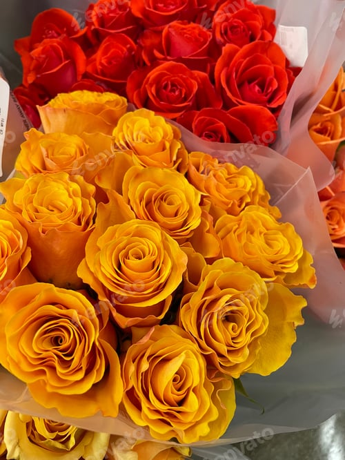 Preview: Roses