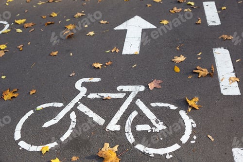 Preview: A bicycle path with a bicycle road sign and markings drawn on the asphalt.