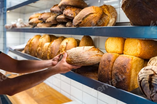 Preview: Hands of baker employee of bakery in workshop workshop of artisan bakery placing baked bread