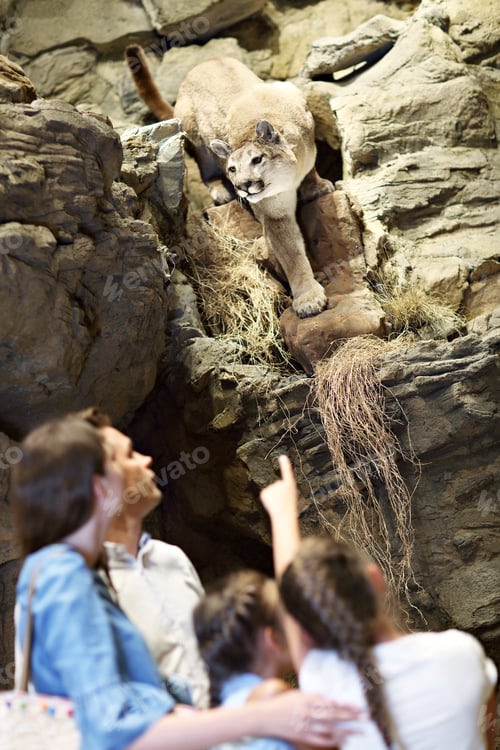 Preview: Joyful family in nature museum