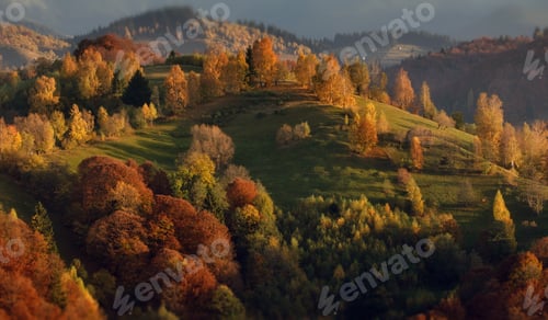 Preview: Forested mountains in autumn in Romania