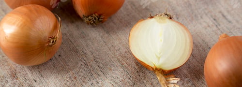 Preview: Unpeeled raw yellow onions on cloth, close-up.
