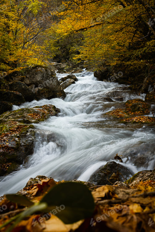 Preview: Mountain river autumn