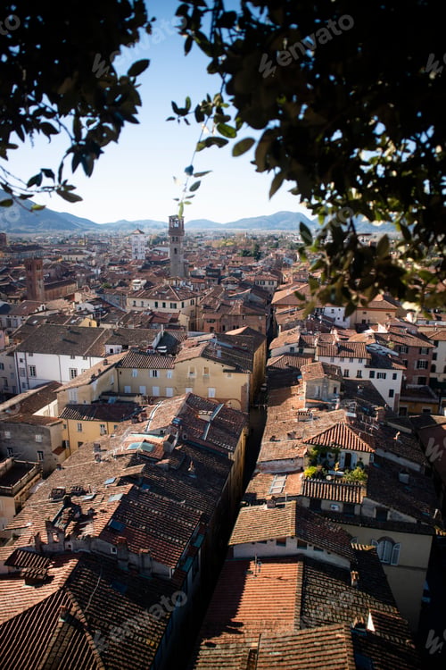 Preview: Top view of the city of Lucca Tuscany Italy