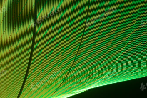 Preview: Large display featuring a pattern of green lights radiating outward along distinct lines