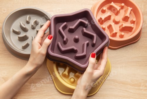 Preview: Woman holding slow feeding dog bowl, choosing the right one