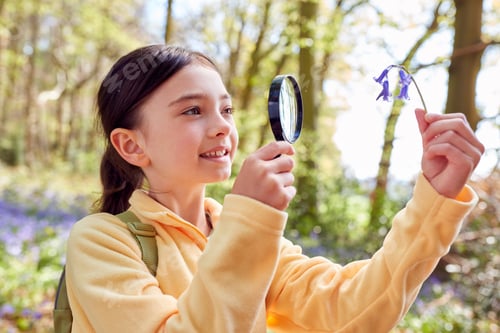 Preview: Girl In Spring Woodlands Examining Bluebells With Magnifying Glass