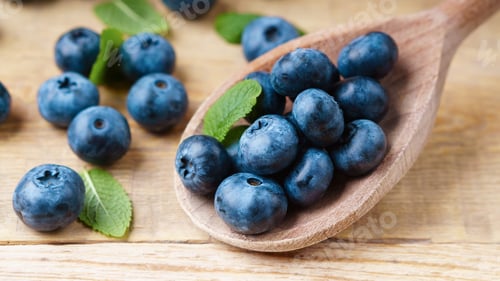 Preview: Freshly picked juicy and fresh blueberries with green mint leaves