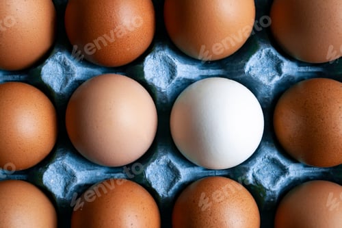 Preview: Concept photo: tray of beige eggs and one white egg